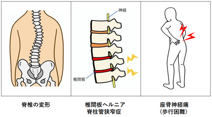 当院の施術法